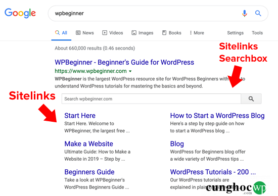 huong-dan-them-google-sitelinks-cho-trang-web-wordpress