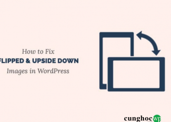 Cách khắc phục hình ảnh lộn ngược hoặc bị lật trái trong WordPress