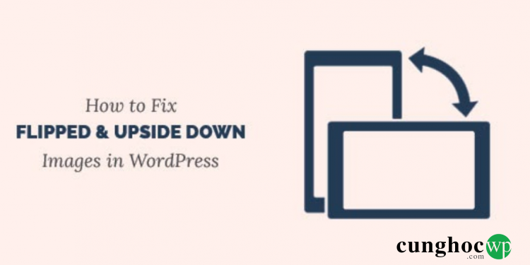 Cách khắc phục hình ảnh lộn ngược hoặc bị lật trái trong WordPress