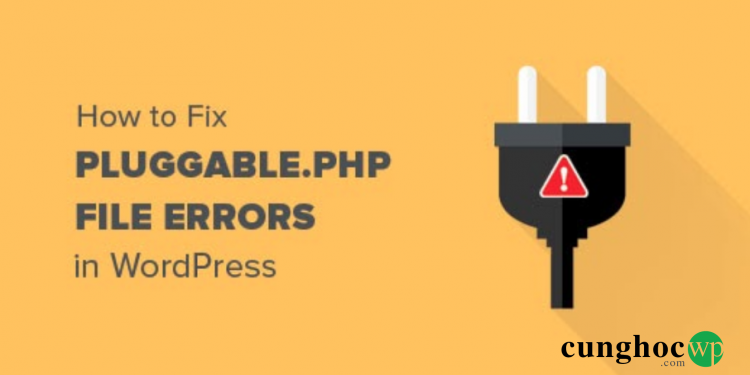 Cách khắc phục lỗi pluggable.php trong WordPress