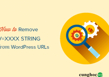 Cách xóa chuỗi v=XXXX khỏi URL WordPress