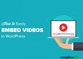 Hướng dẫn nhúng video vào bài viết trong blog WordPress