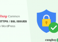 Cách khắc phục các sự cố SSL phổ biến trong WordPress