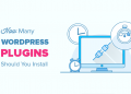 Ban Nen Dung Bao Nhieu Plugin Cho Wordpress Bao Nhieu La Du 40912 50