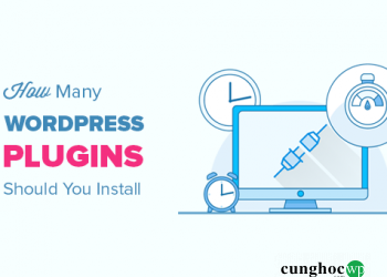 Ban Nen Dung Bao Nhieu Plugin Cho Wordpress Bao Nhieu La Du 40912 50