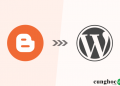 chuyen-tu-blogger-sang-wordpress-khong-mat-thu-hang-google