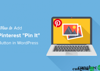 Cach Them Nut Pinterest Pin It Vao Trang Web Wordpress 86028 8