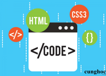 HTML và CSS là gì? vai trò của nó trong website 2020