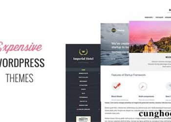 7 theme WordPress premium đắt nhất