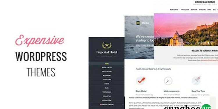 7 theme WordPress premium đắt nhất