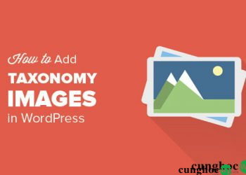 Huong Dan Cach Them Taxonomy Images Cho Category Trong Wordpress 85010 1