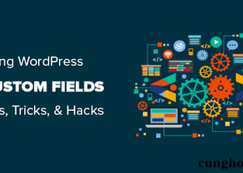 Hướng dẫn Custom Fields trong WordPress: 101 mẹo vặt, thủ thuật, hack