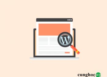 Hướng dẫn tìm tên theme mà website WordPress đang sử dụng