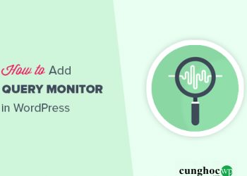 Hướng dẫn thêm Query Monitor vào trang web WordPress