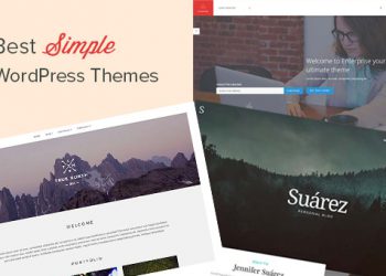 42 theme WordPress đơn giản tốt nhất bạn nên thử