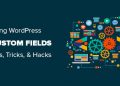 Hướng dẫn cơ bản về trường tùy chỉnh (Custom field) WordPress