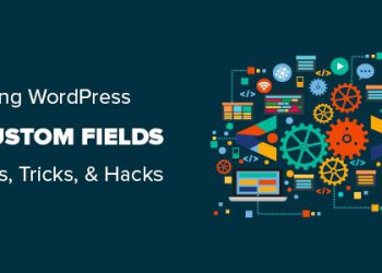 Hướng dẫn cơ bản về trường tùy chỉnh (Custom field) WordPress