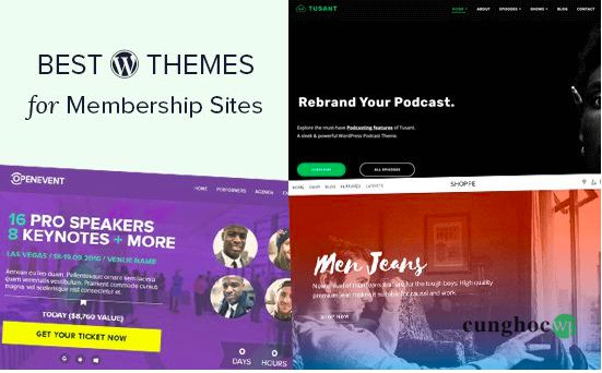theme WordPress tốt nhất cho các website Membership