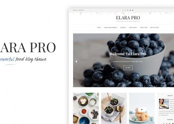 theme WordPress tuyệt đẹp cho blog Repice