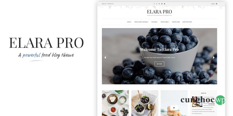 theme WordPress tuyệt đẹp cho blog Repice