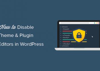 Hưỡng dẫn cách vô hiệu hoá Theme và Plugin Editors trong WordPress