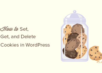 Hướng dẫn get, set và xóa cookie WordPress