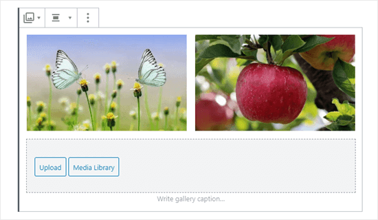 Hai hình ảnh trong bộ sưu tập (bướm và táo)