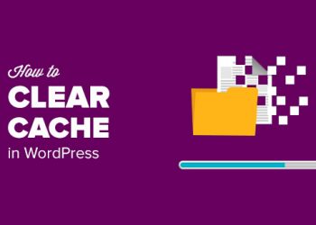Hướng dẫn xóa bộ nhớ Cache trong website WordPress