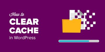 Hướng dẫn xóa bộ nhớ Cache trong website WordPress