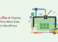 Cách hiển thị metadata của bài viết trên WordPress