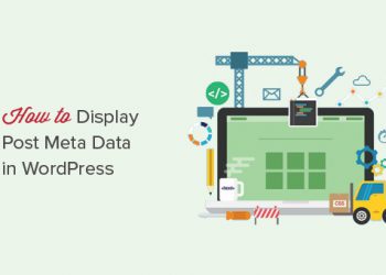 Cách hiển thị metadata của bài viết trên WordPress