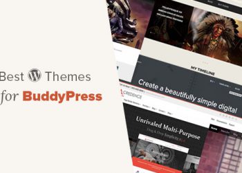 20 theme BuddyPress đẹp nhất cho các trang web WordPress