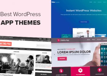 theme WordPress phù hợp nhất dành cho ứng dụng