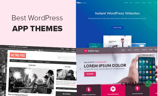 theme WordPress phù hợp nhất dành cho ứng dụng