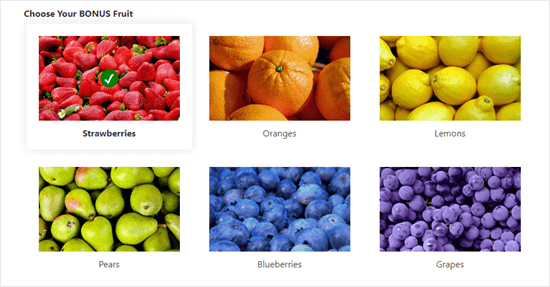 An example of image choices in use in a form: shows colorful images for 6 fruit options