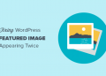 khắc phục lỗi Feature image xuất hiện hai lần trong wordpress