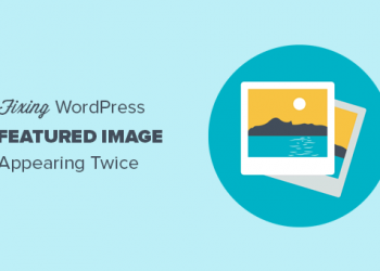 khắc phục lỗi Feature image xuất hiện hai lần trong wordpress