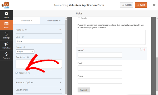 Making a field on your form mandatory (shows the Required checkbox, checked)