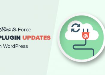 Hướng dẫn cách buộc WordPress kiểm tra các bản cập nhật plugin
