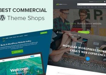 29 chợ theme tốt nhất cho WordPress