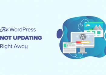 Hướng dẫn cách khắc phục lỗi trang web WordPress không cập nhật ngay lập tức